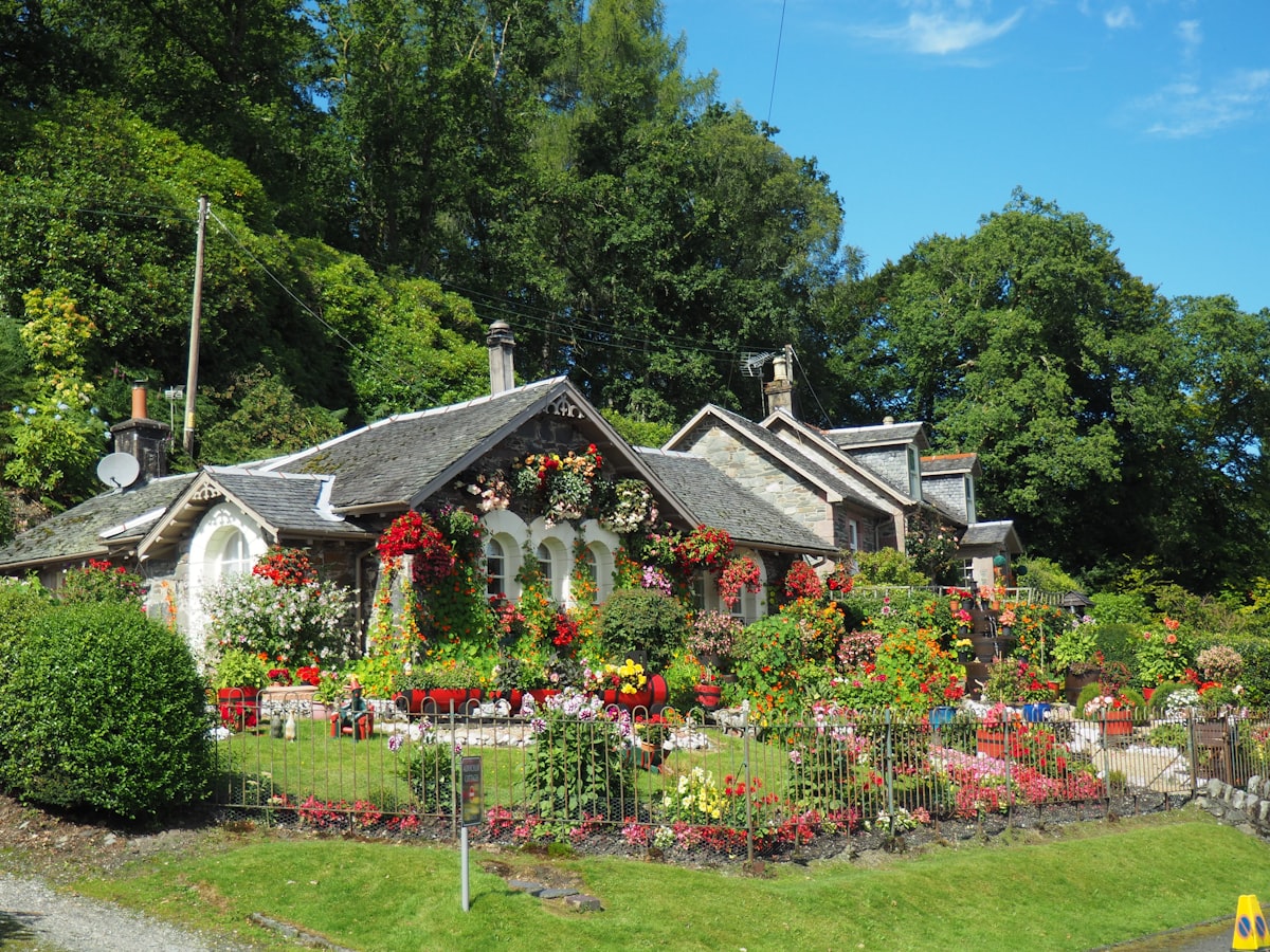Garden Maintenance